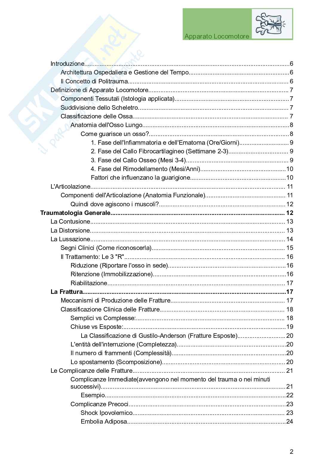 Apparato locomotore, traumatologia e ortopedia per Professioni sanitarie Pag. 2