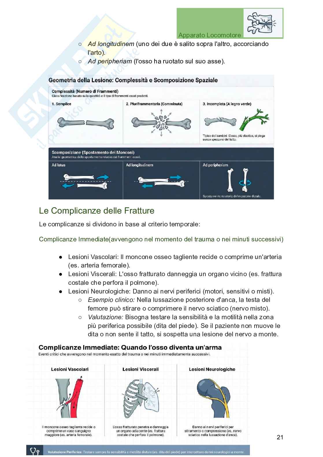 Apparato locomotore, traumatologia e ortopedia per Professioni sanitarie Pag. 21