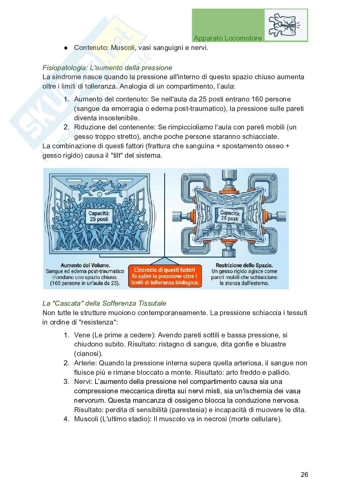 Apparato locomotore, traumatologia e ortopedia per Professioni sanitarie Pag. 26