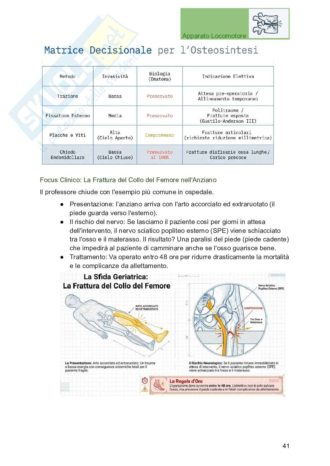 Apparato locomotore, traumatologia e ortopedia per Professioni sanitarie Pag. 41