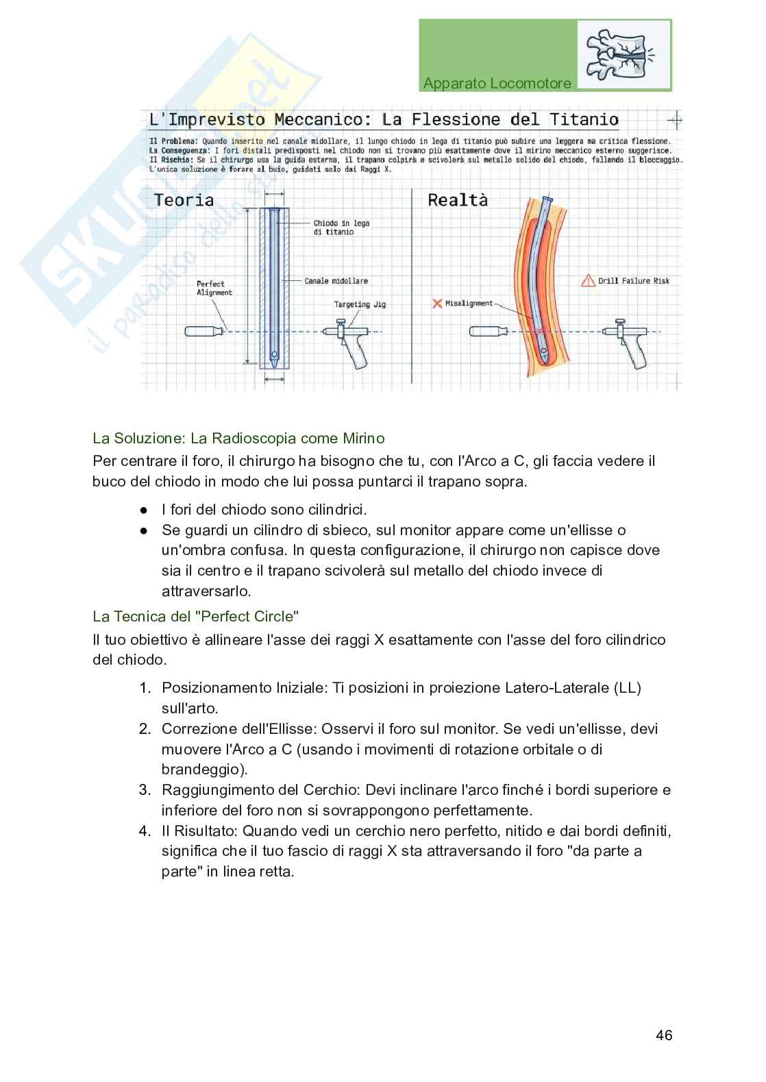 Apparato locomotore, traumatologia e ortopedia per Professioni sanitarie Pag. 46