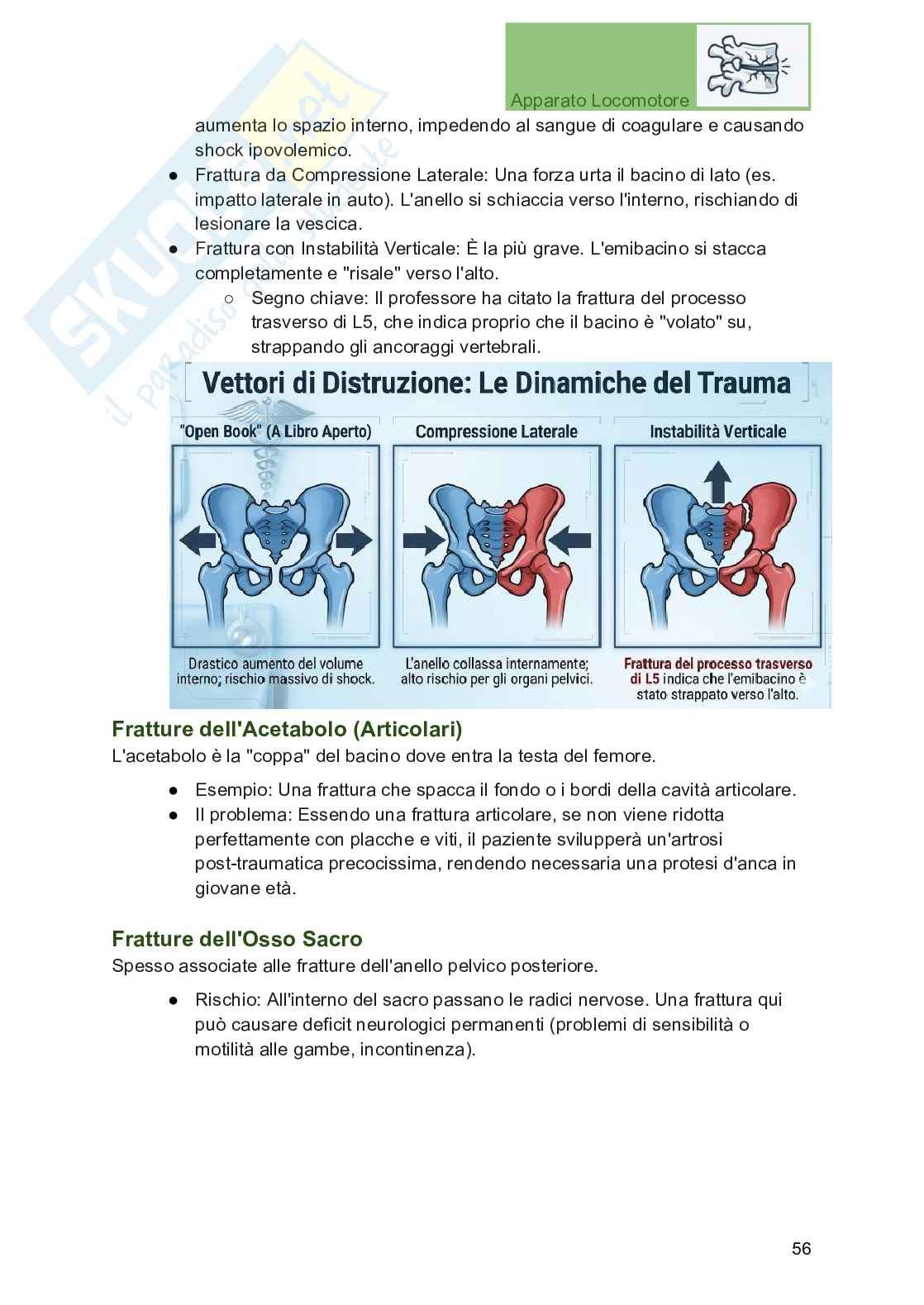 Apparato locomotore, traumatologia e ortopedia per Professioni sanitarie Pag. 56