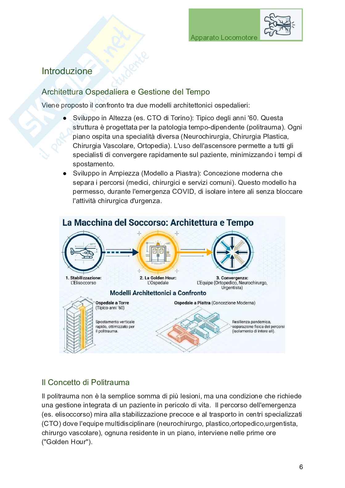 Apparato locomotore, traumatologia e ortopedia per Professioni sanitarie Pag. 6