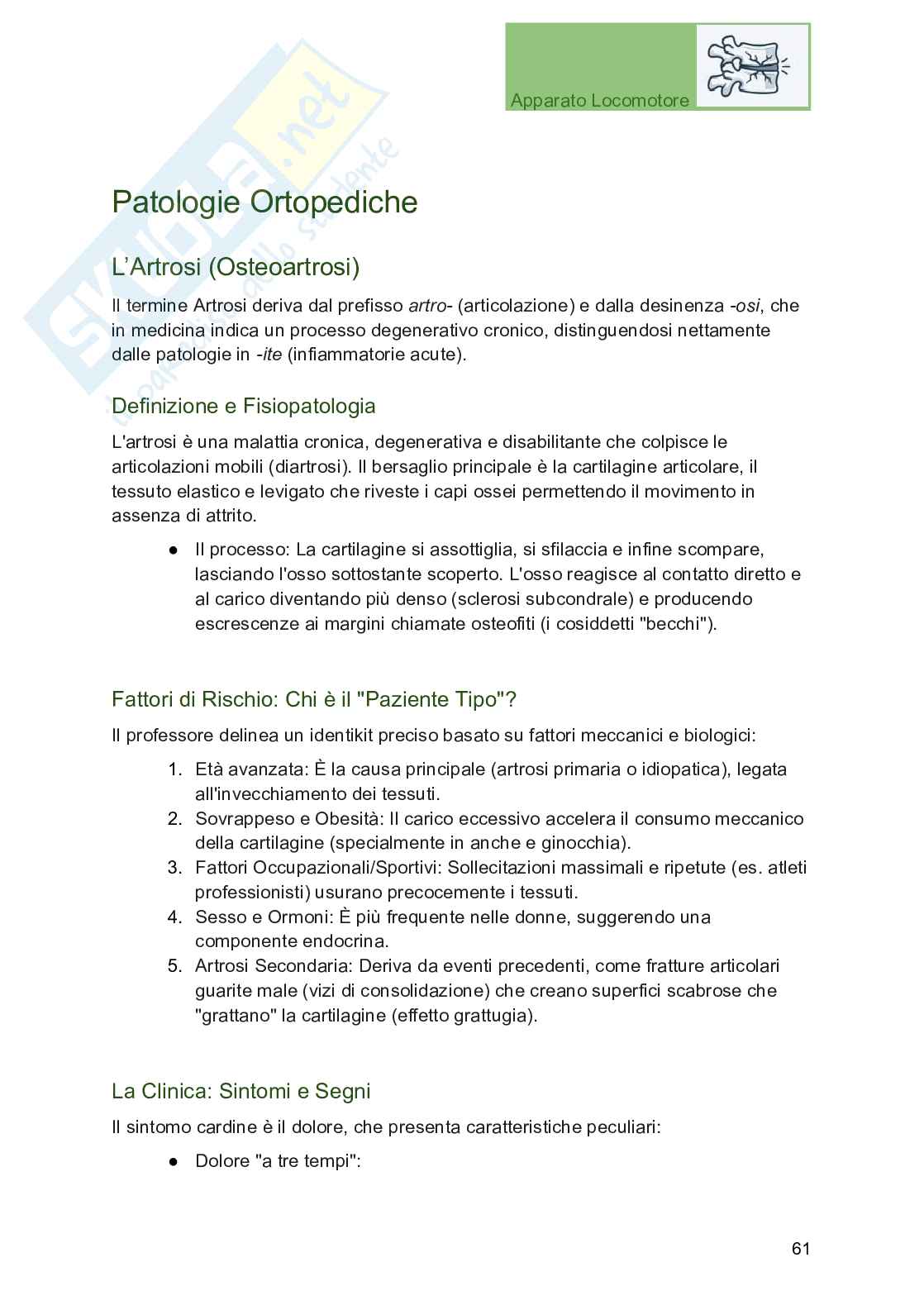 Apparato locomotore, traumatologia e ortopedia per Professioni sanitarie Pag. 61