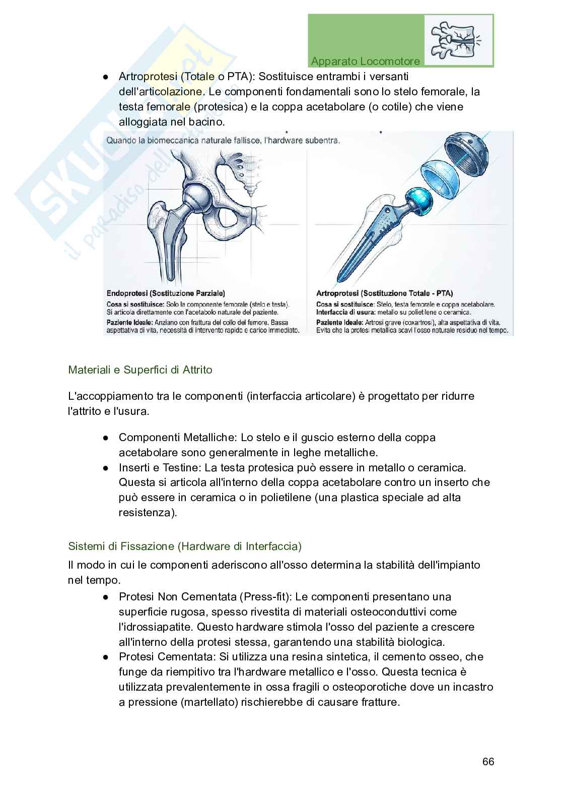 Apparato locomotore, traumatologia e ortopedia per Professioni sanitarie Pag. 66