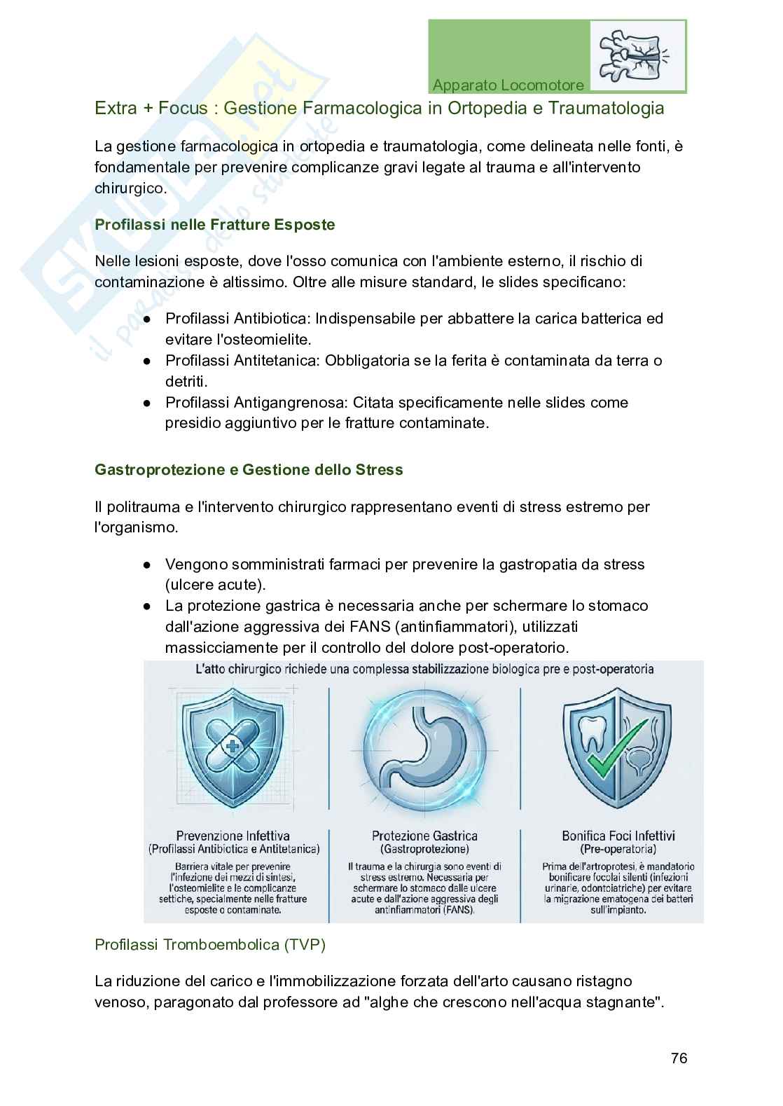 Apparato locomotore, traumatologia e ortopedia per Professioni sanitarie Pag. 76