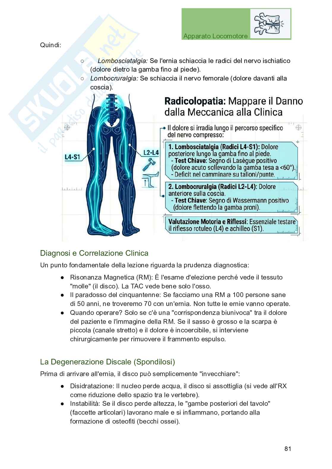 Apparato locomotore, traumatologia e ortopedia per Professioni sanitarie Pag. 81