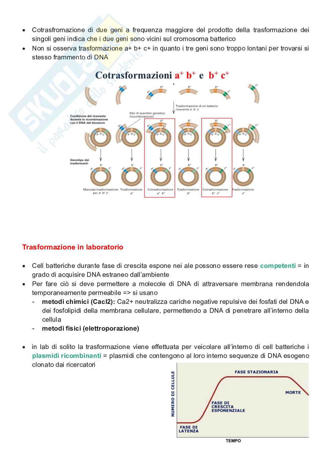 Appunti completi di Genetica e genomica  Pag. 11