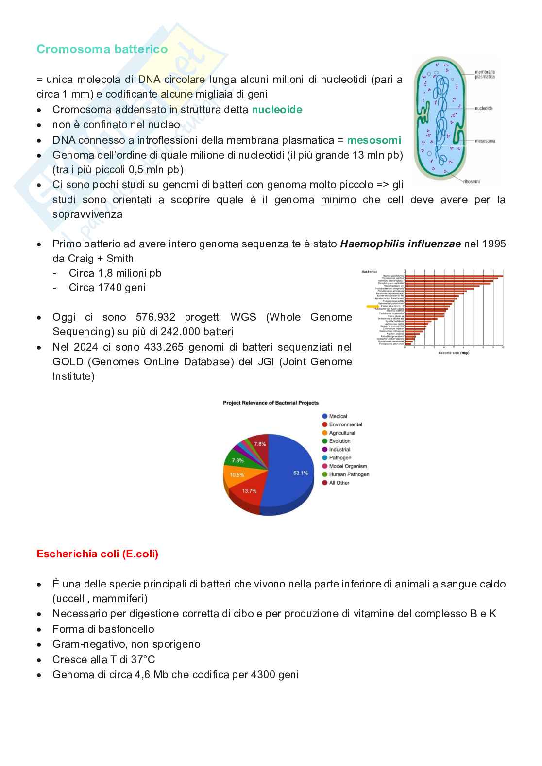 Appunti completi di Genetica e genomica  Pag. 2