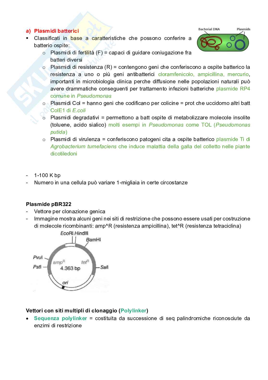Appunti completi di Genetica e genomica  Pag. 41