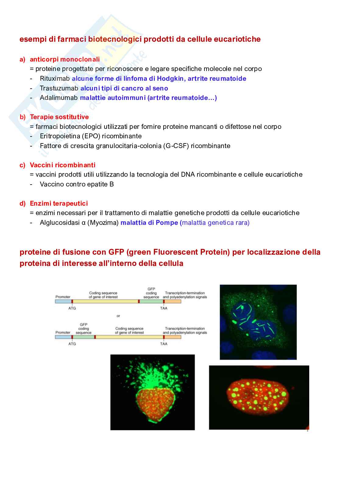 Appunti completi di Genetica e genomica  Pag. 61
