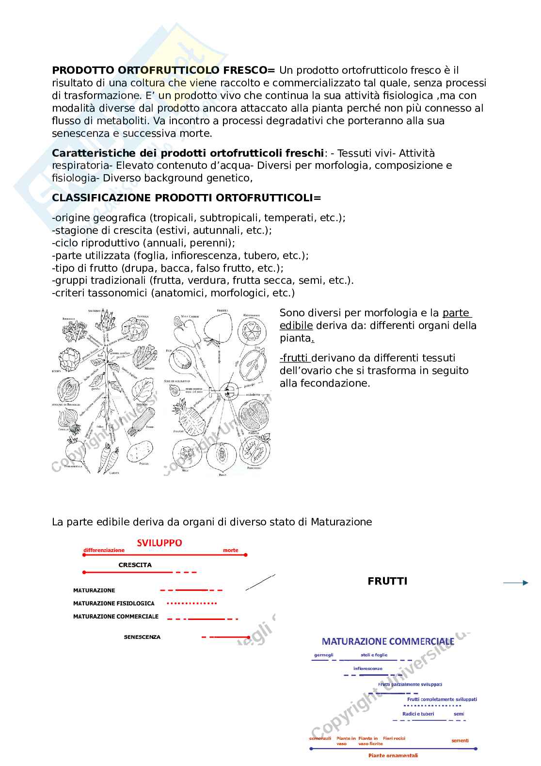 Alimenti di origine vegetale  Pag. 1