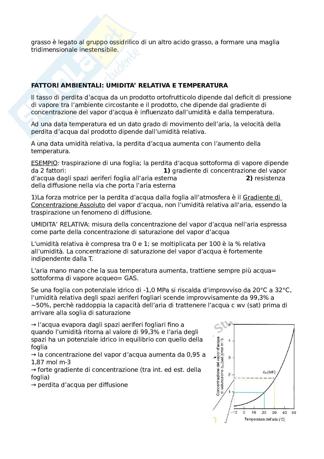 Alimenti di origine vegetale  Pag. 11