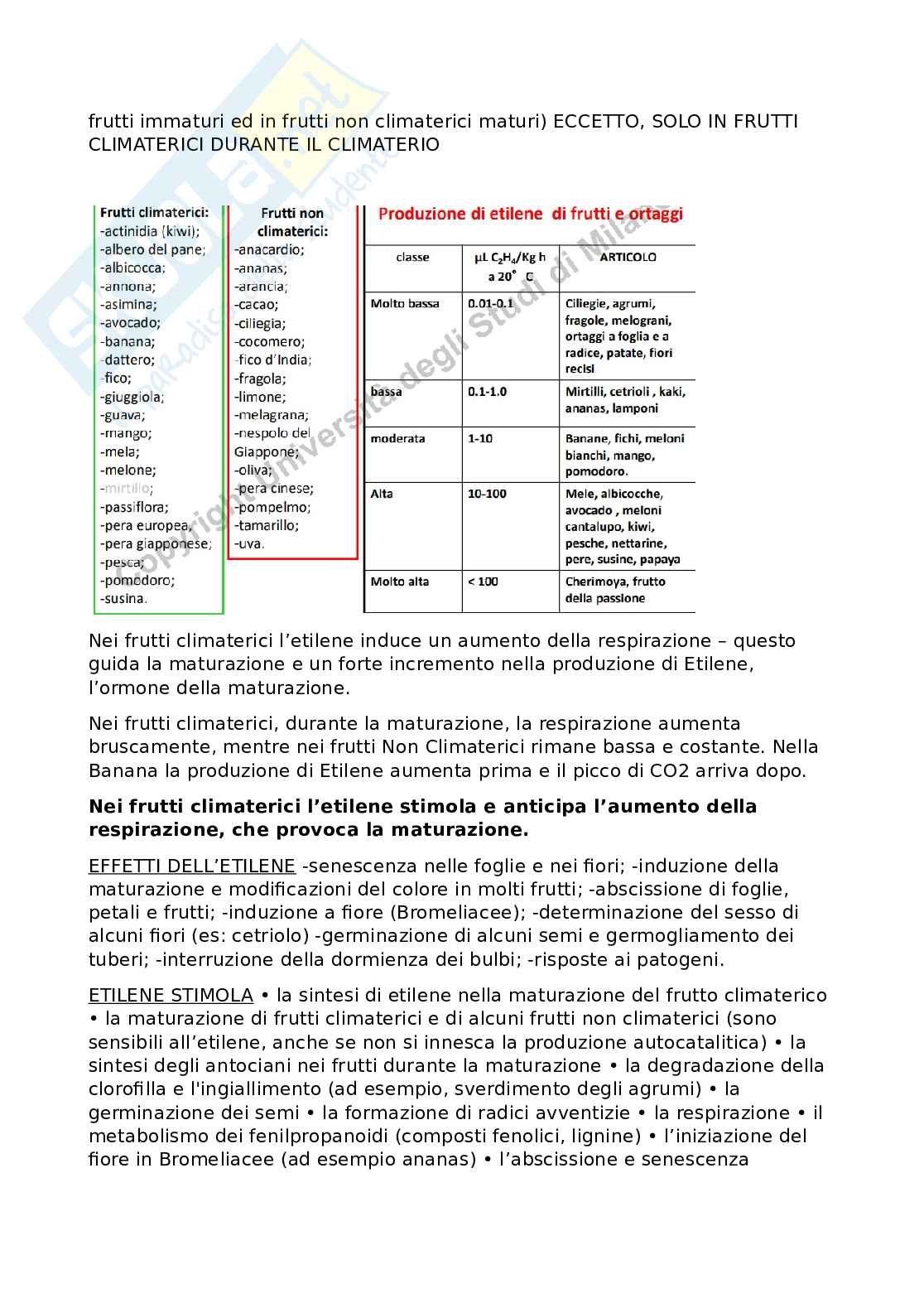Alimenti di origine vegetale  Pag. 31