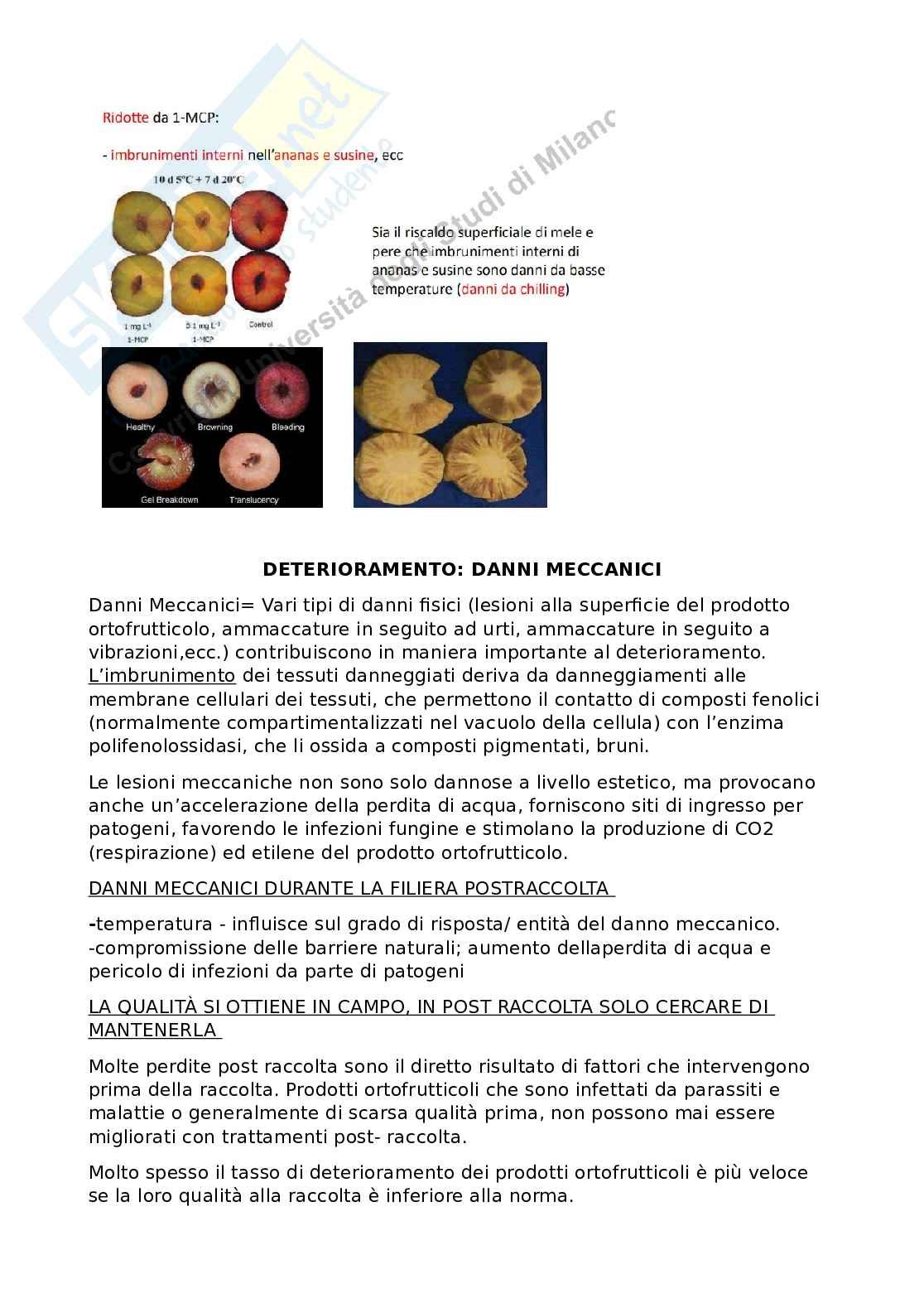 Alimenti di origine vegetale  Pag. 36