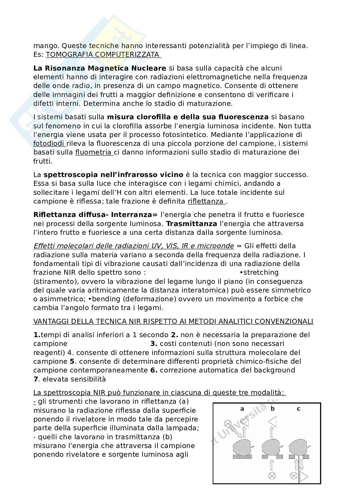 Alimenti di origine vegetale  Pag. 56