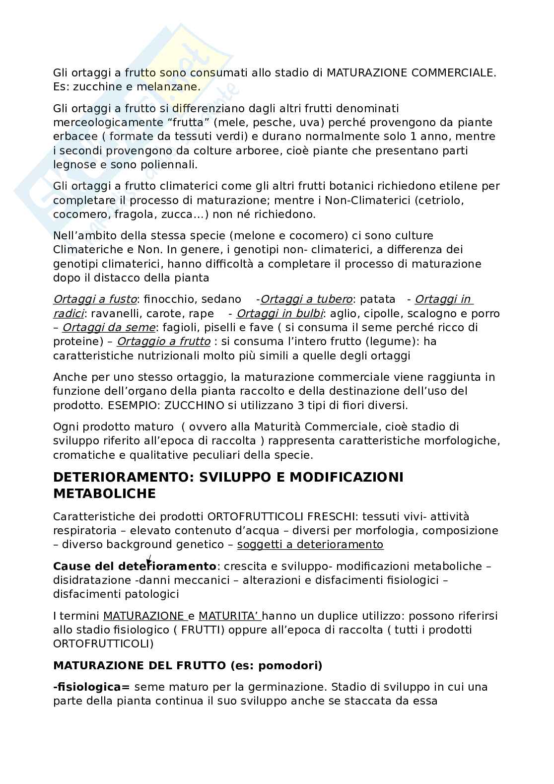 Alimenti di origine vegetale  Pag. 6
