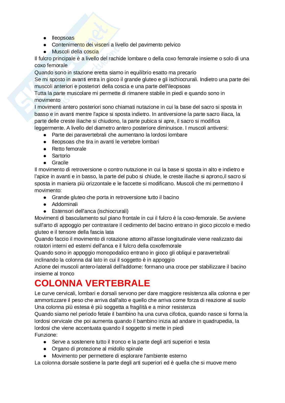 Appunti Chinesiologia Pag. 16