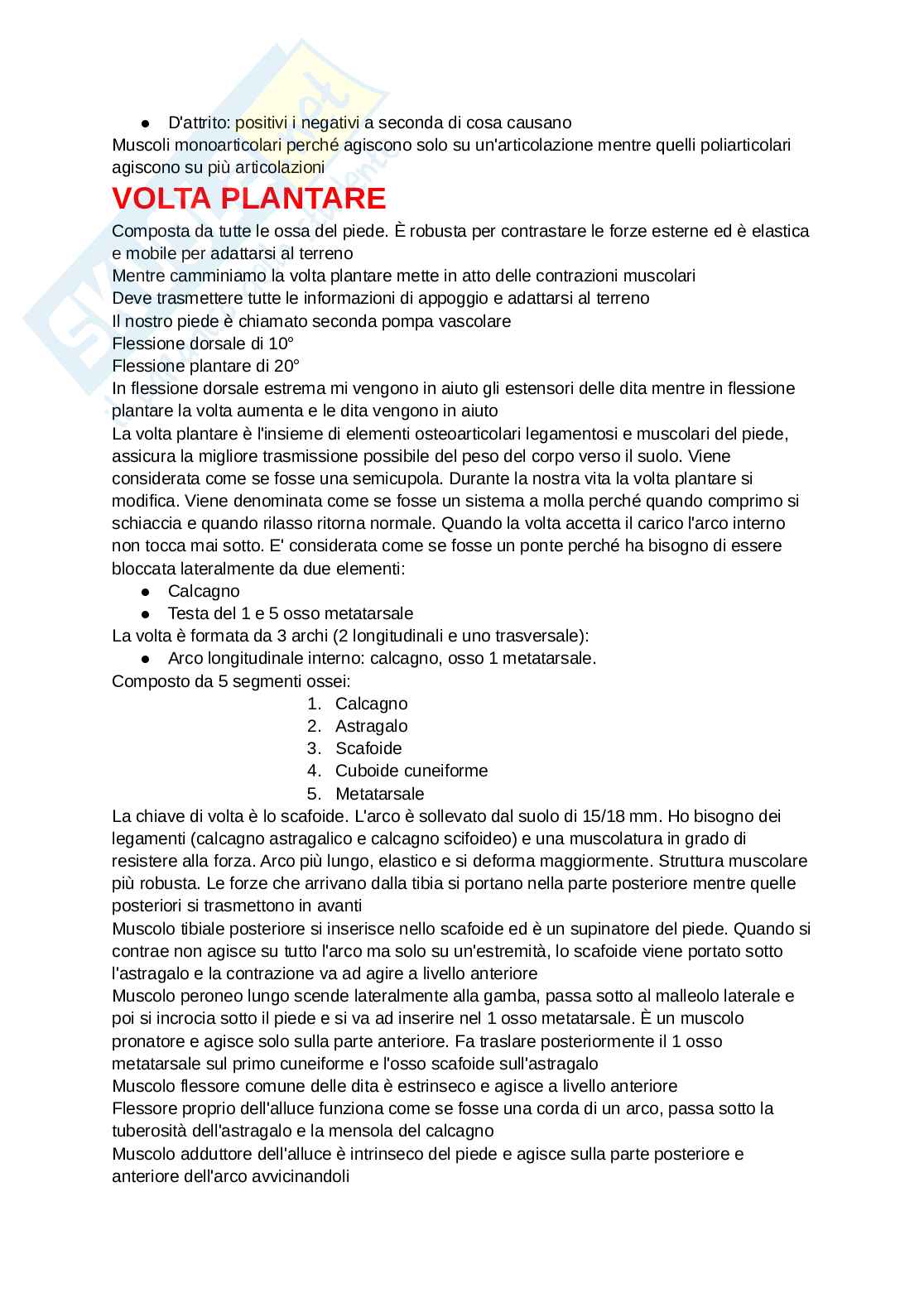 Appunti Chinesiologia Pag. 2