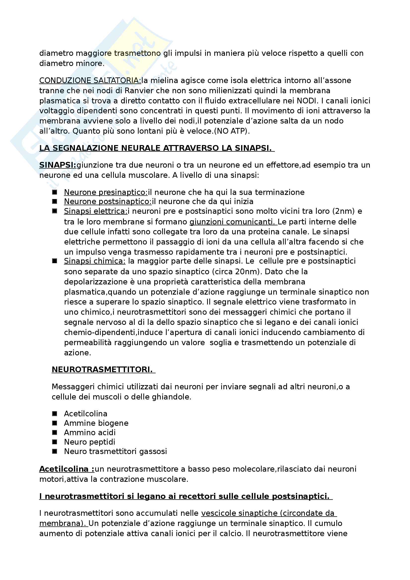 Psicobiologia 1 Pag. 6