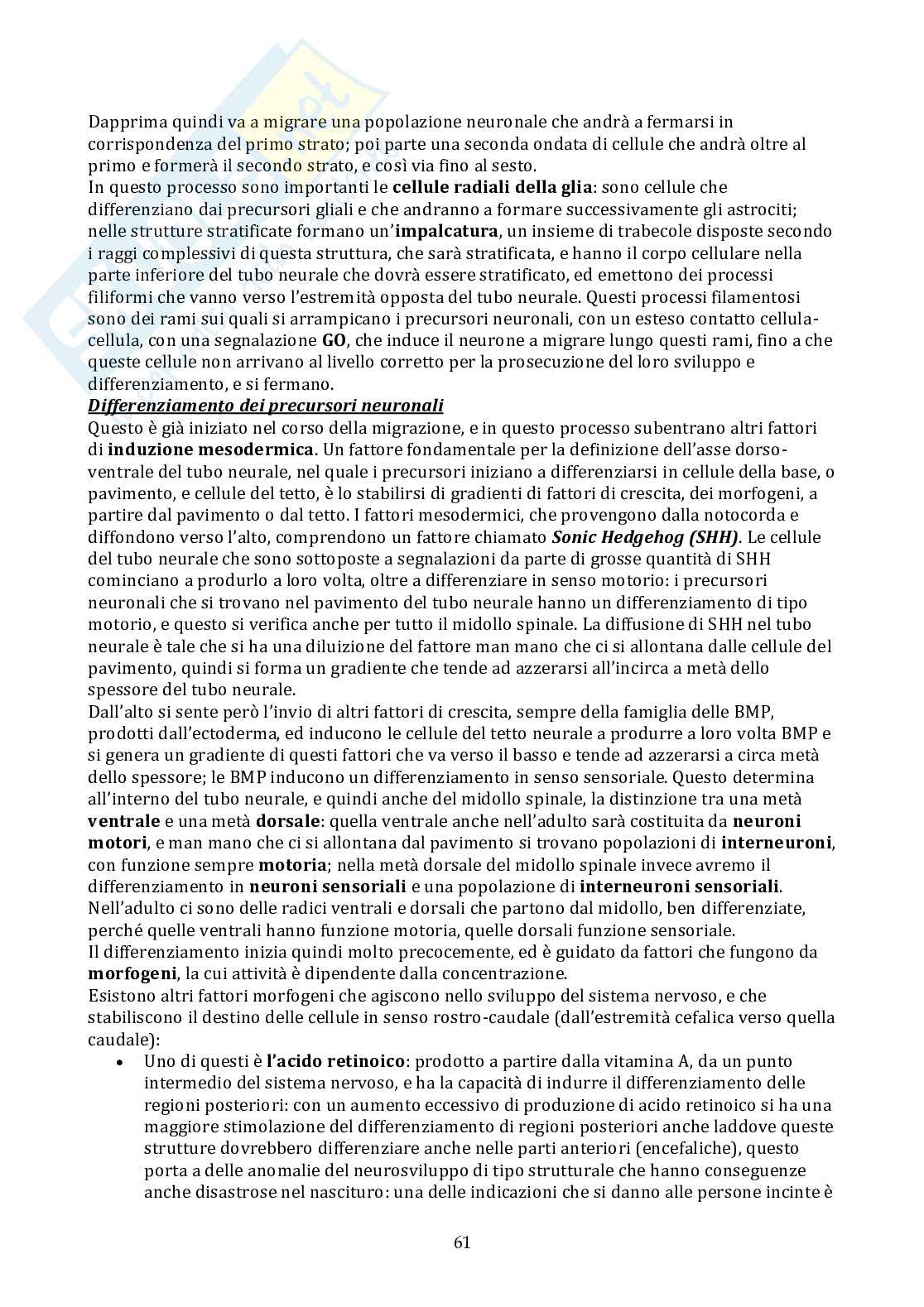 Biologia Pag. 61