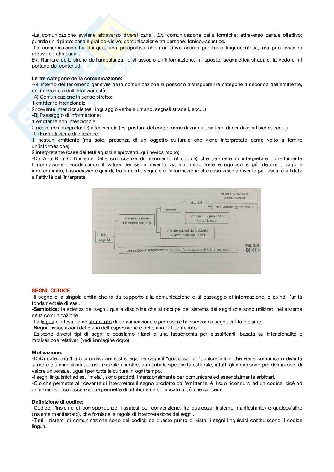 Riassunto esame Fondamenti di linguistica, Prof. Marinetti Anna, libro consigliato La linguistica- un corso introduttivo , Gaetano Berruto, Massimo Cerruti  Pag. 2