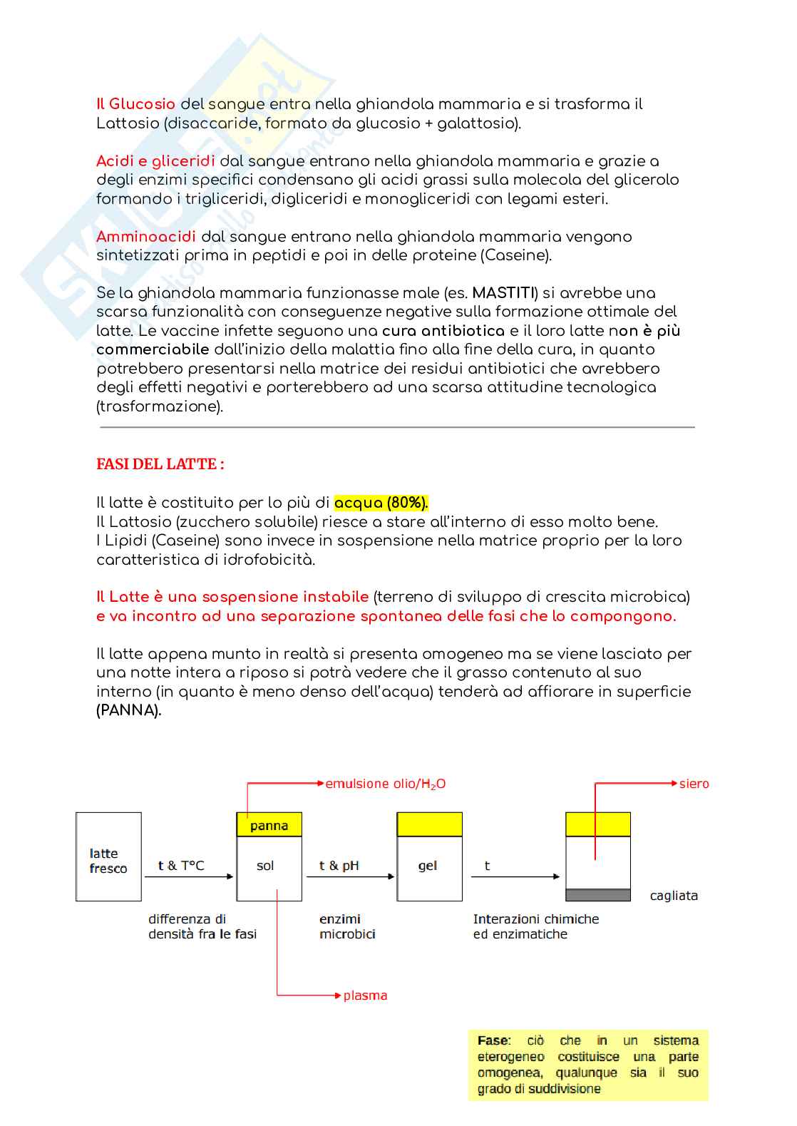 Analisi chimica e fisica dei prodotti alimentari Pag. 2