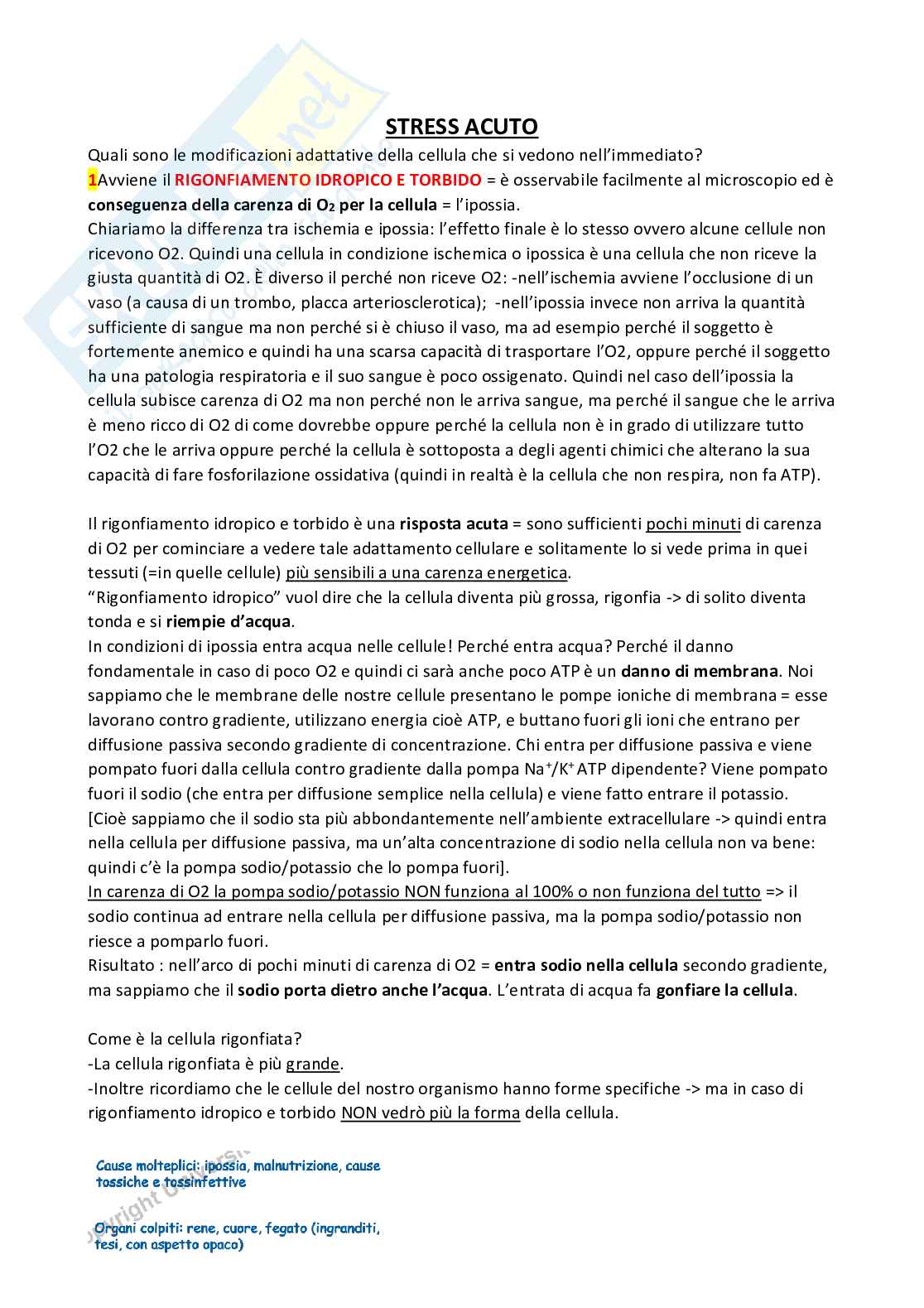 Meccanismi di danno e morte cellulare  Pag. 11