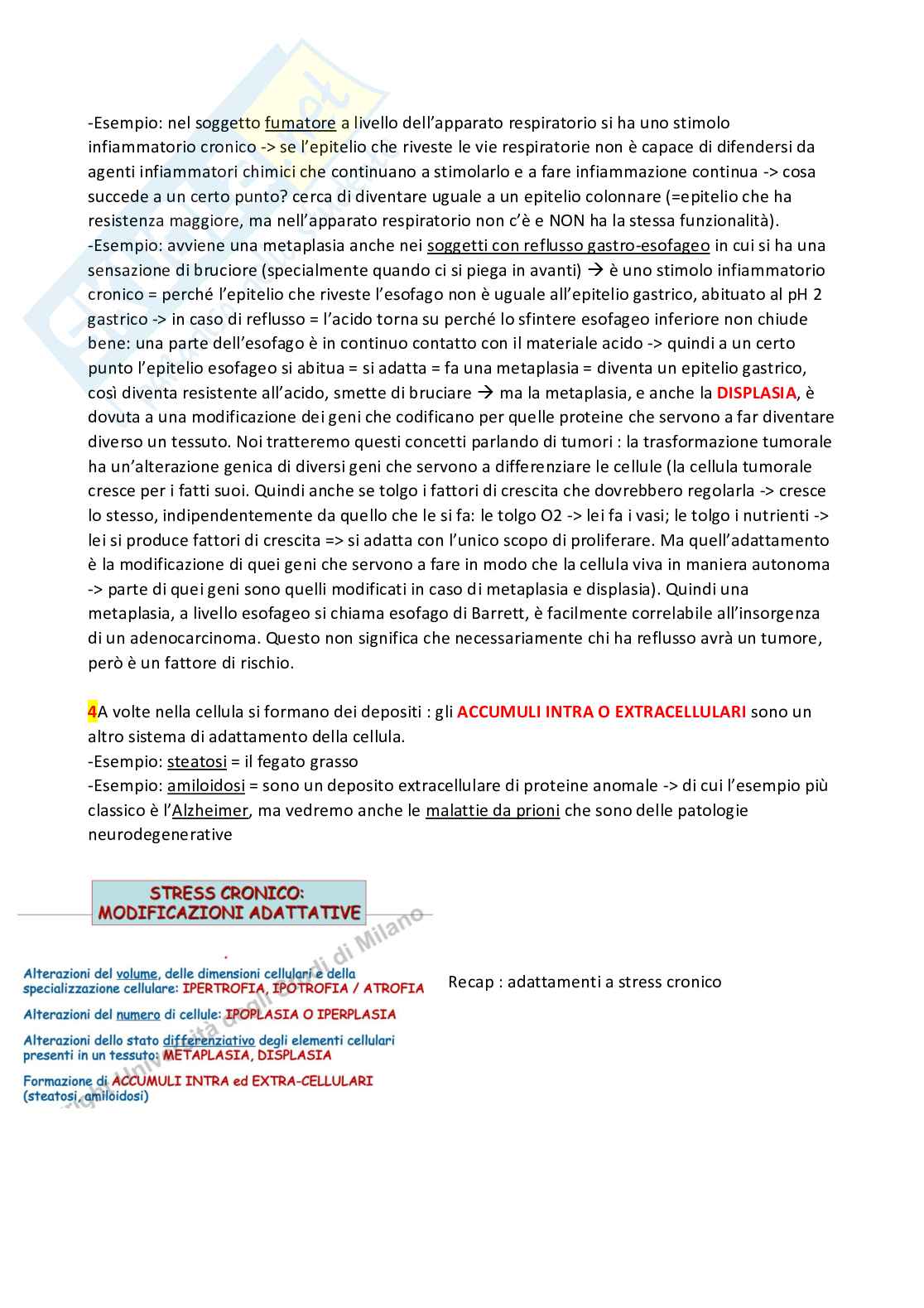 Meccanismi di danno e morte cellulare  Pag. 16