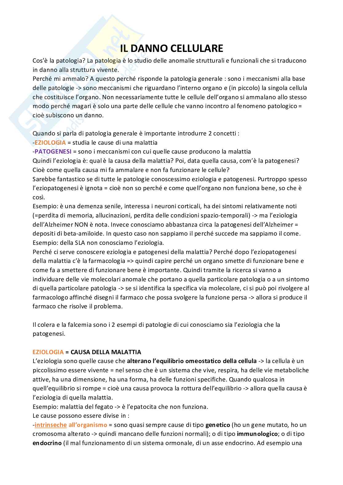 Meccanismi di danno e morte cellulare  Pag. 2