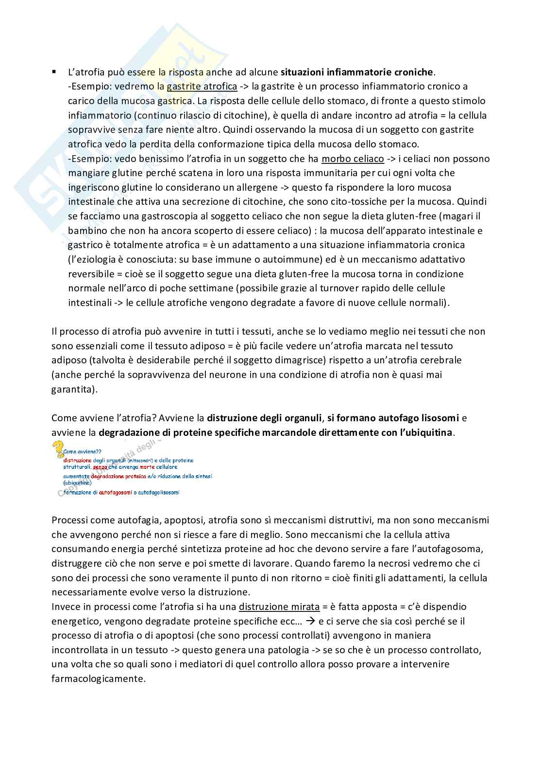 Meccanismi di danno e morte cellulare  Pag. 21