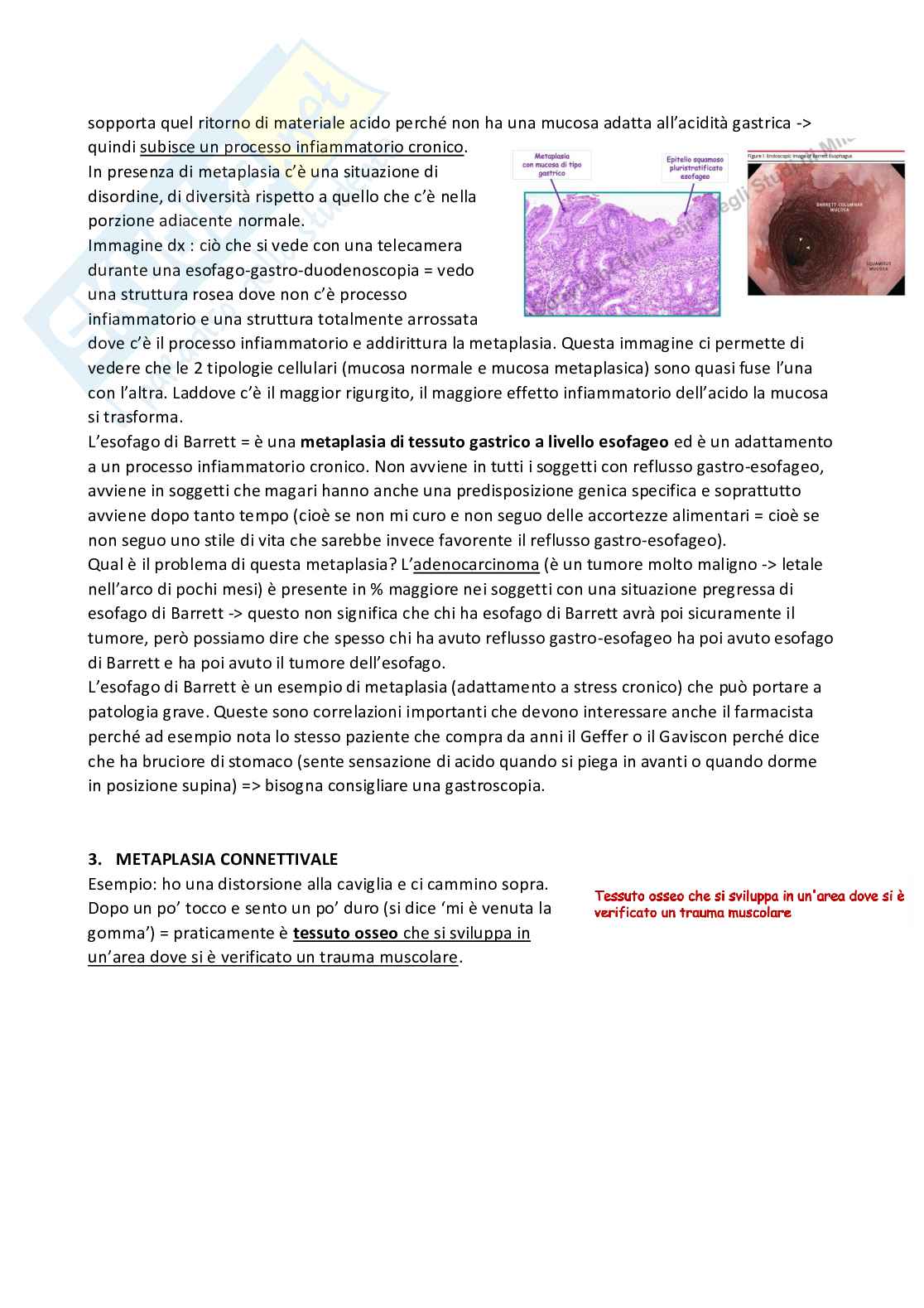 Meccanismi di danno e morte cellulare  Pag. 26