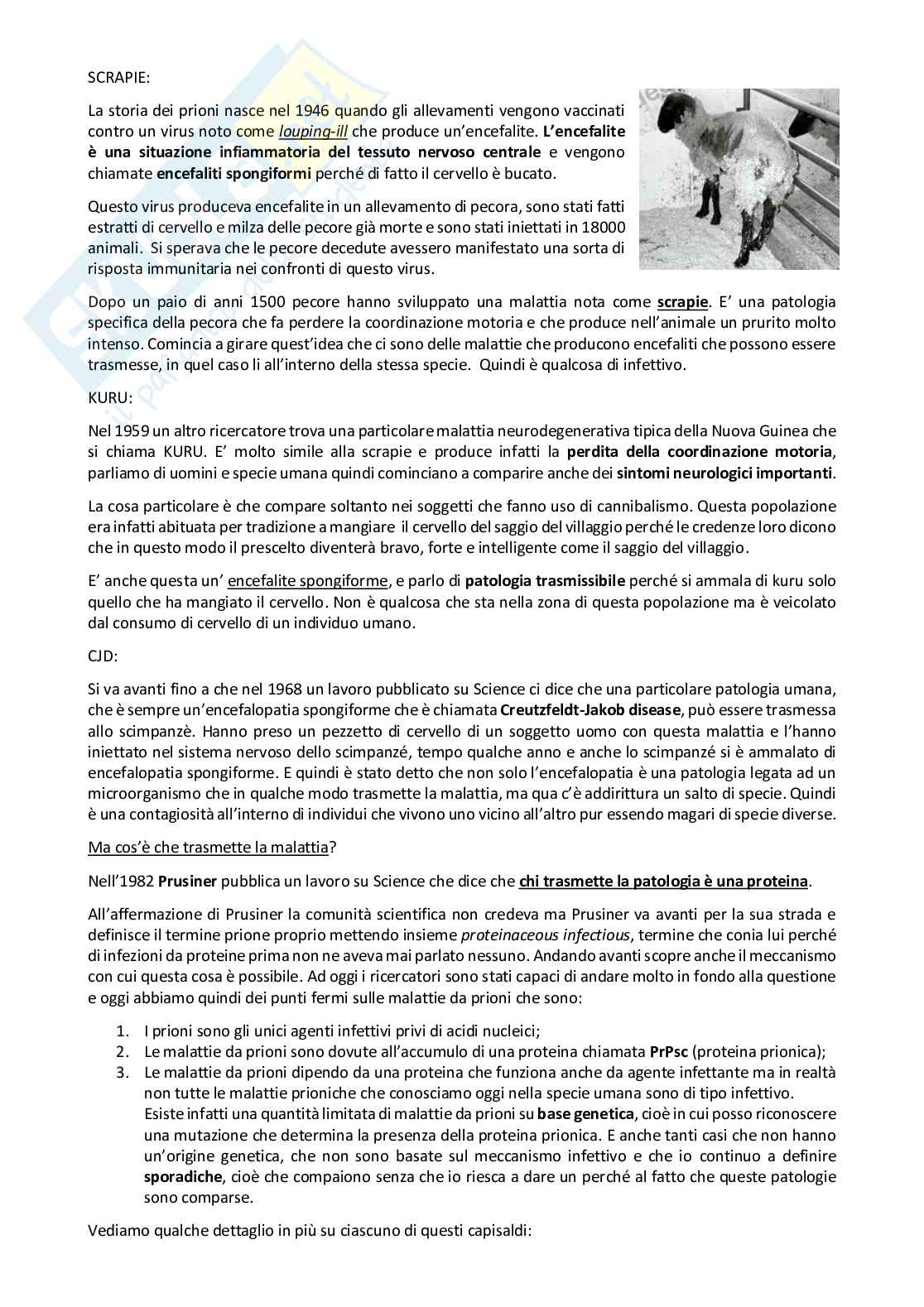 Meccanismi di danno e morte cellulare  Pag. 46