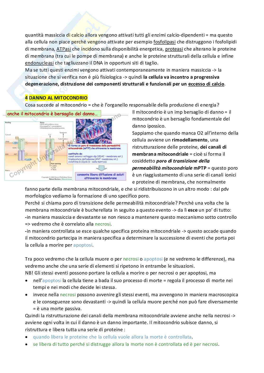 Meccanismi di danno e morte cellulare  Pag. 56