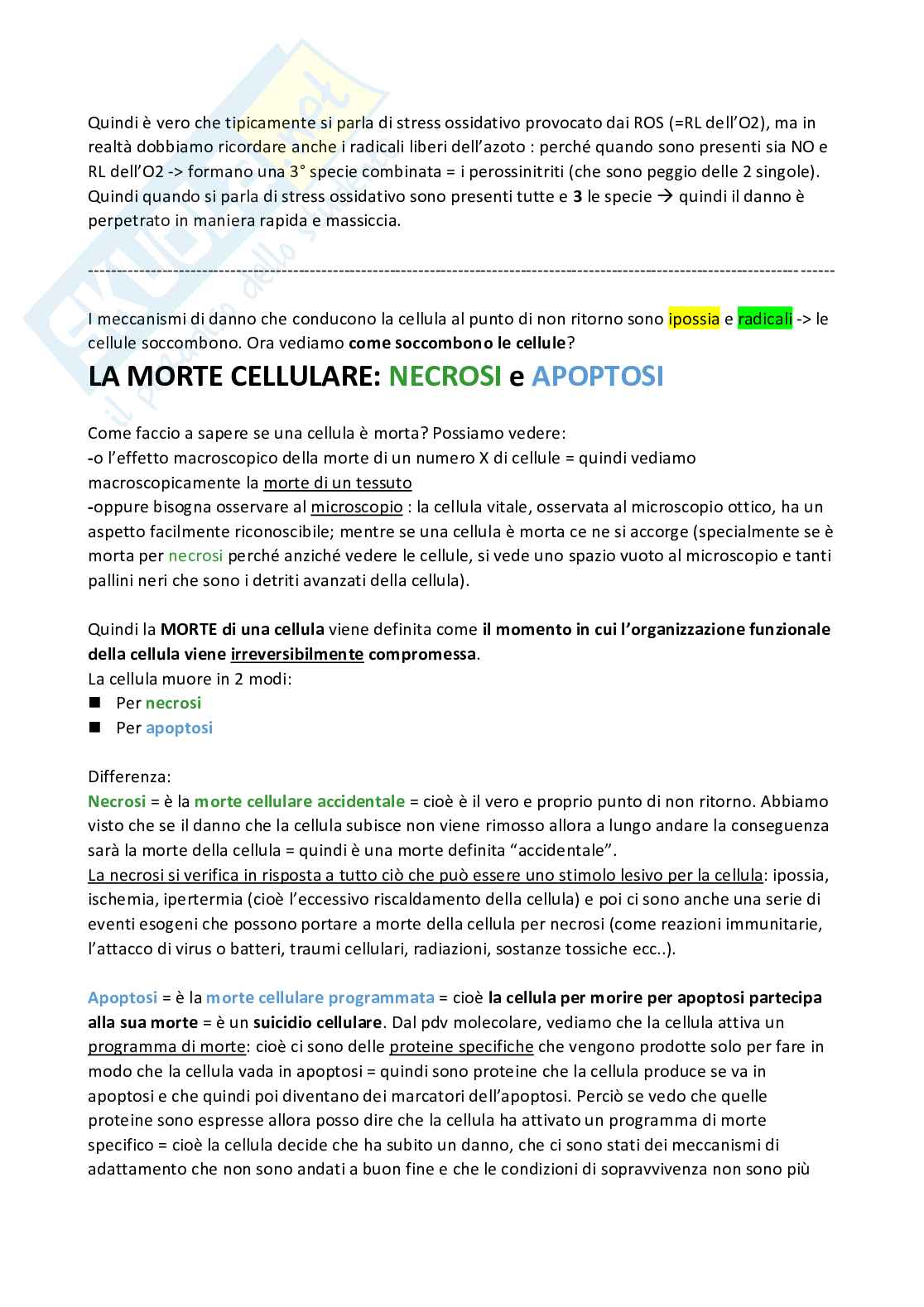 Meccanismi di danno e morte cellulare  Pag. 61