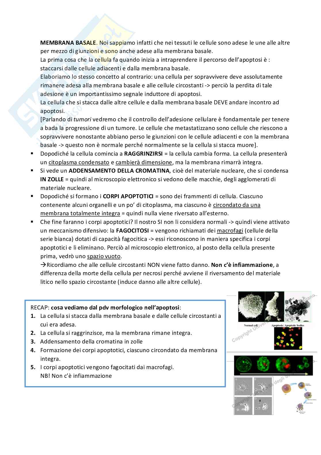 Meccanismi di danno e morte cellulare  Pag. 71