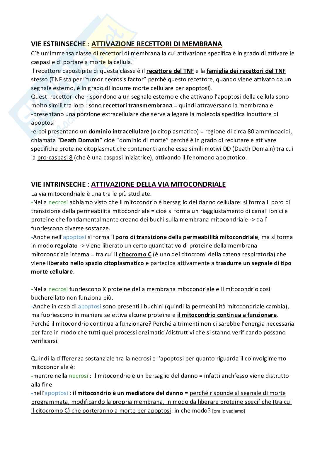 Meccanismi di danno e morte cellulare  Pag. 76