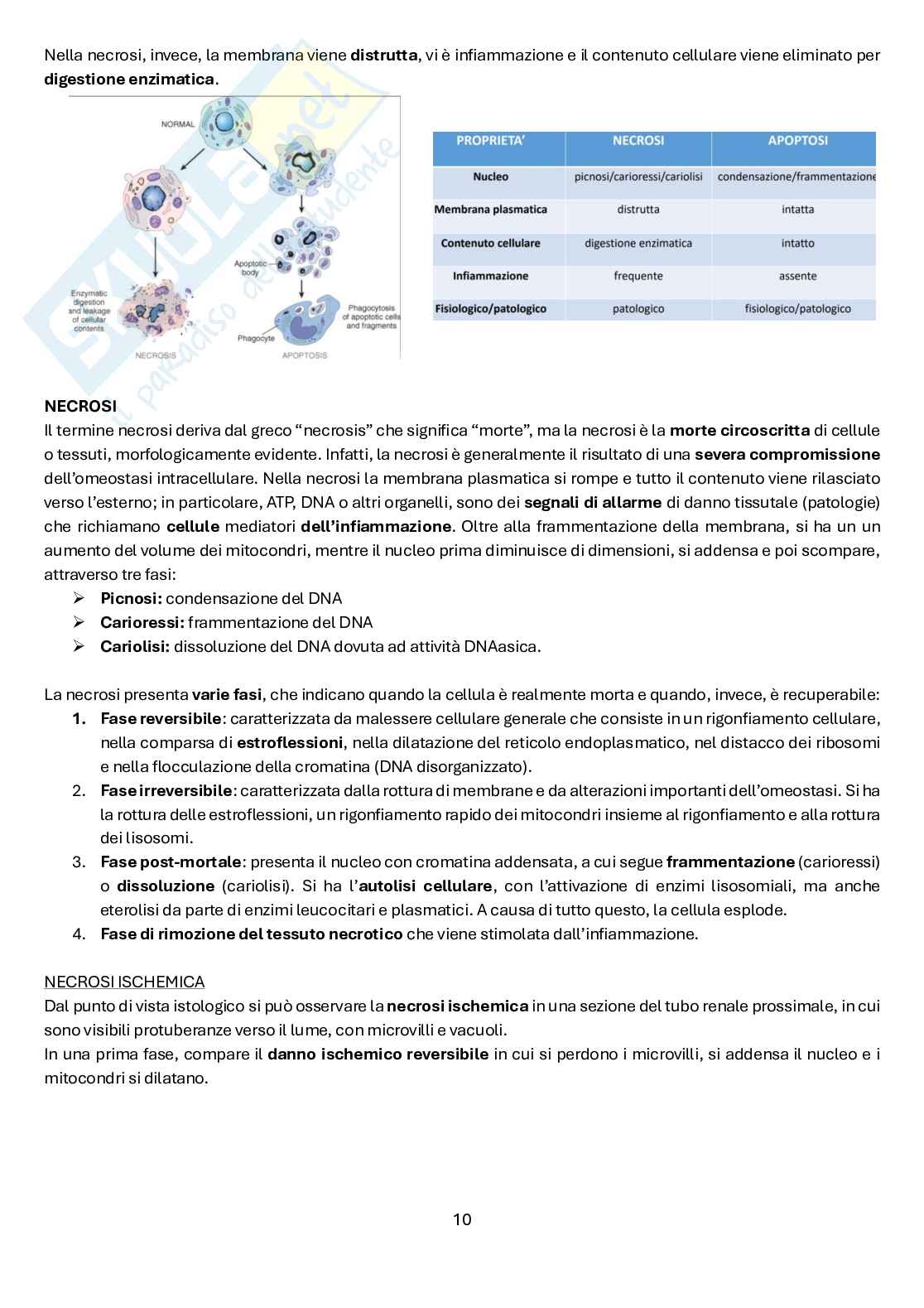 Microbiologia e patologia Pag. 11