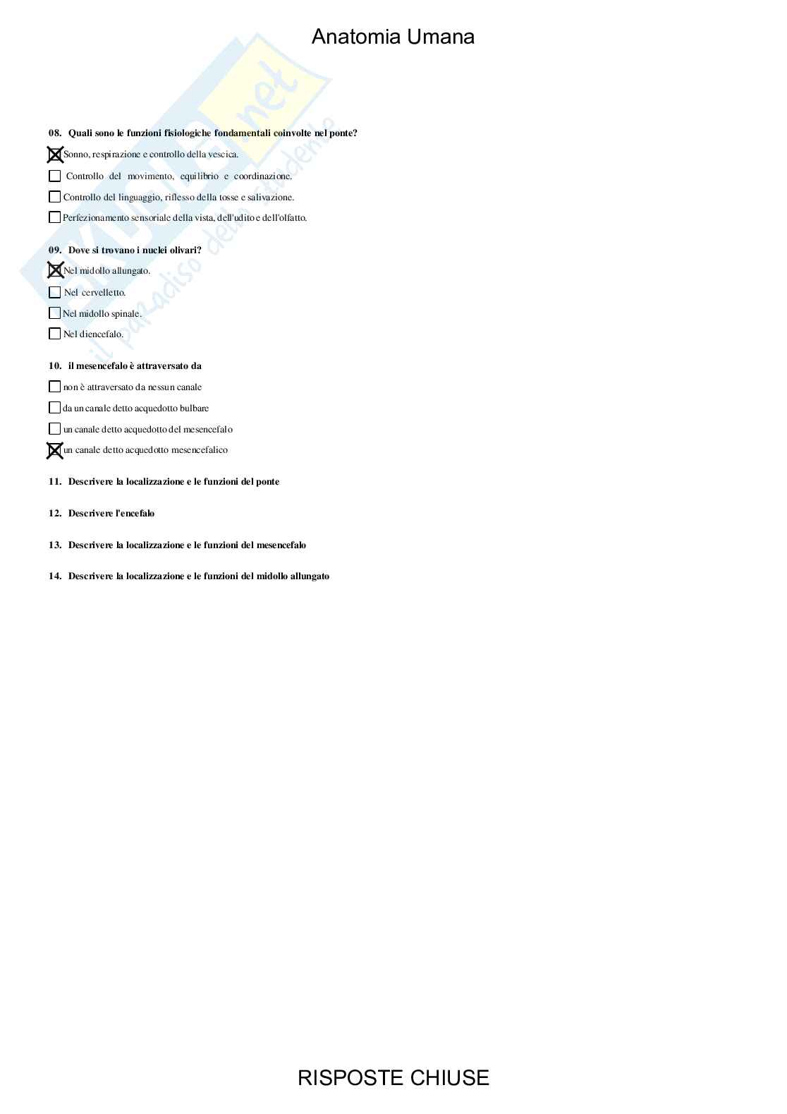 Anatomia umana - Paniere compilato Pag. 81