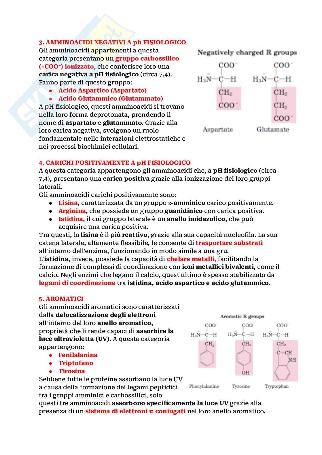 Biochimica Pag. 16
