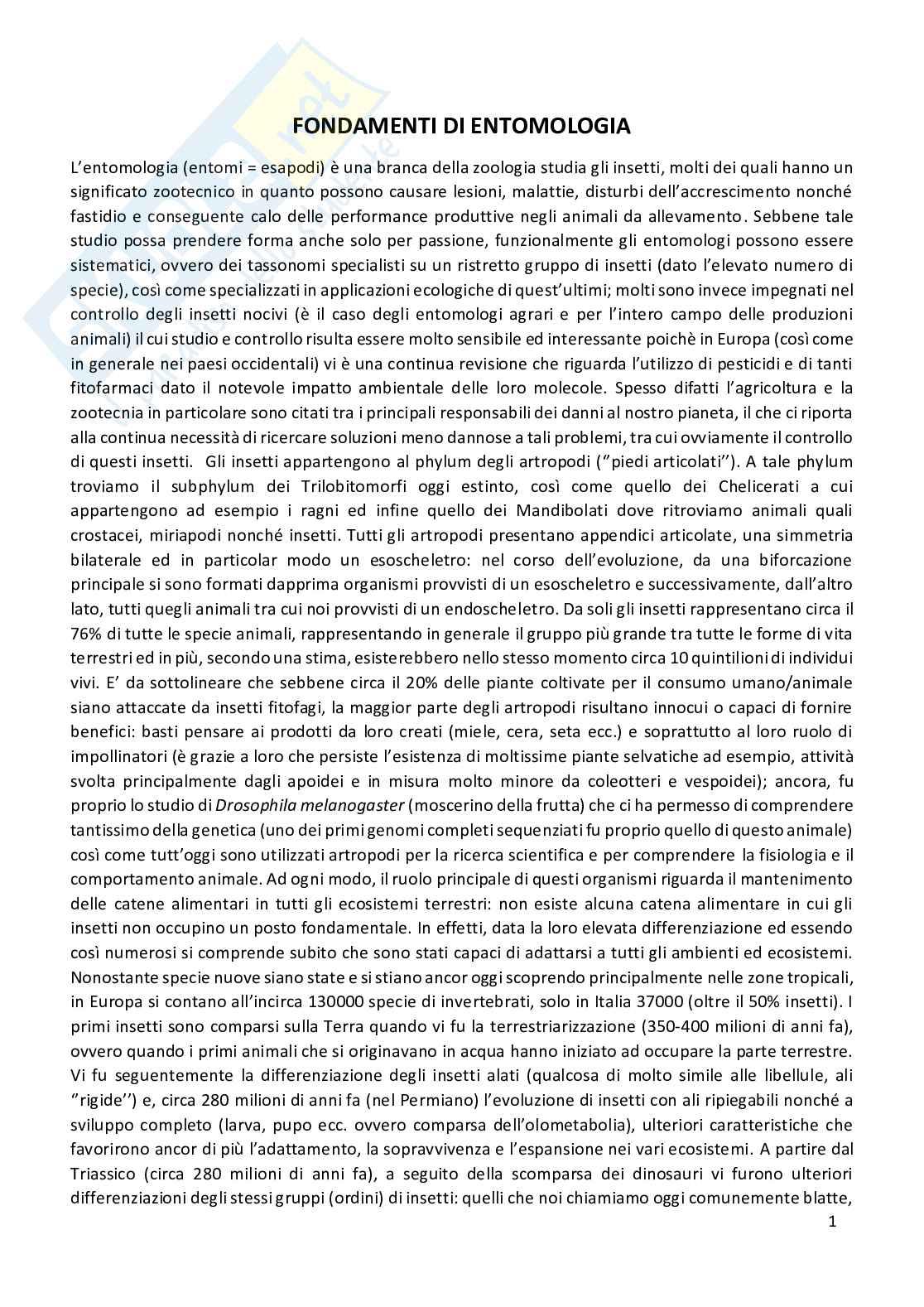 Entomologia completa Pag. 1