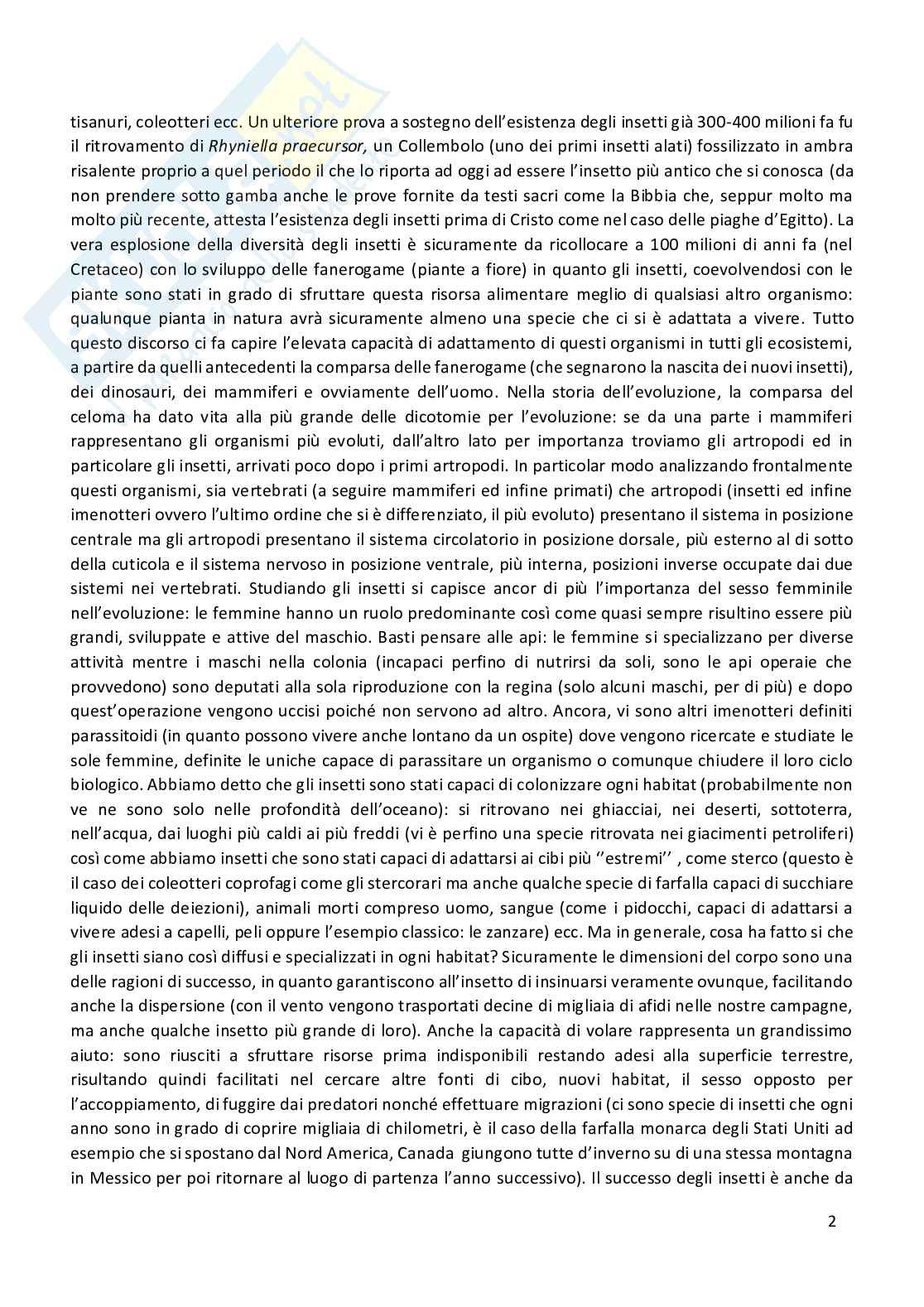 Entomologia completa Pag. 2