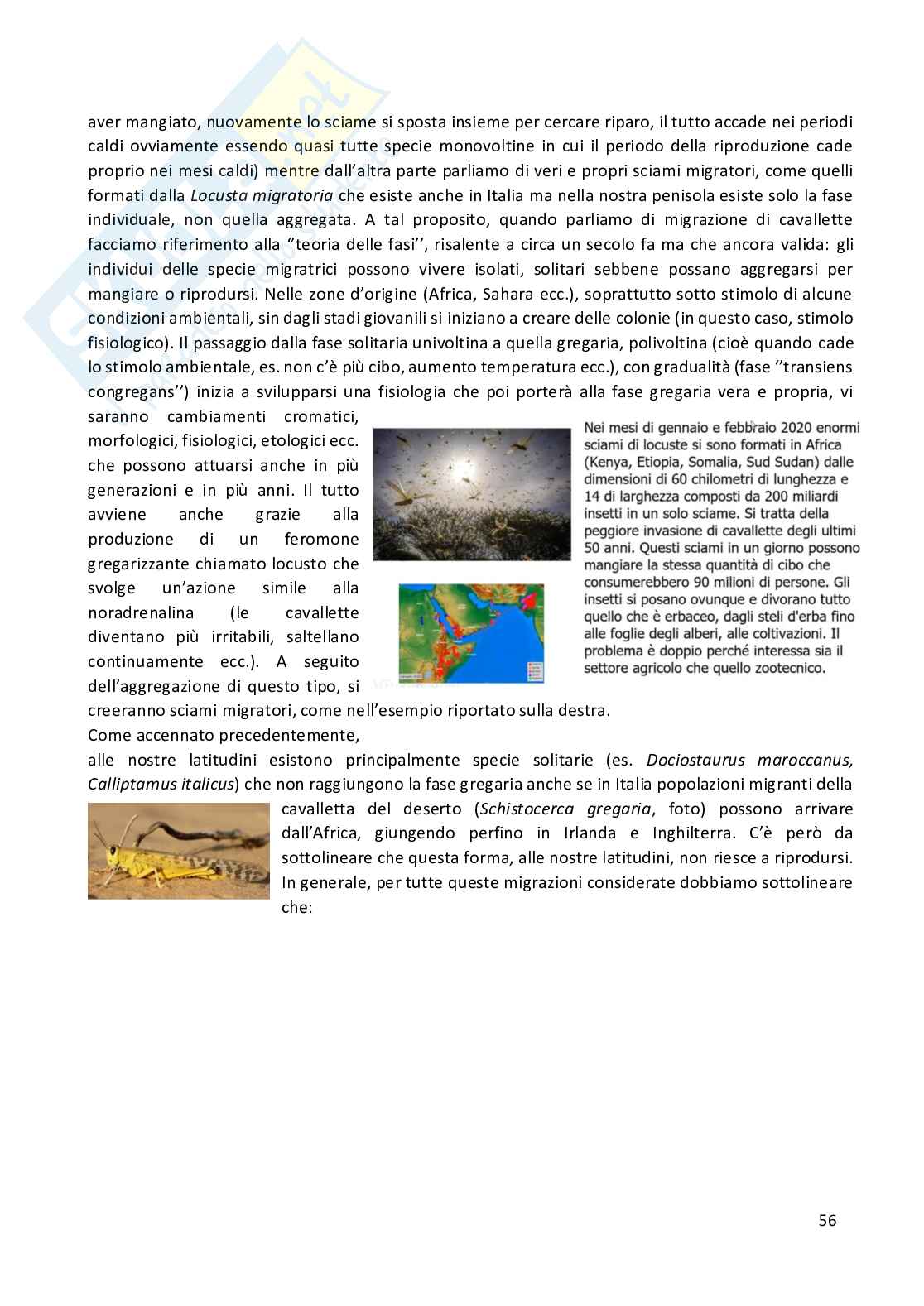 Entomologia completa Pag. 56