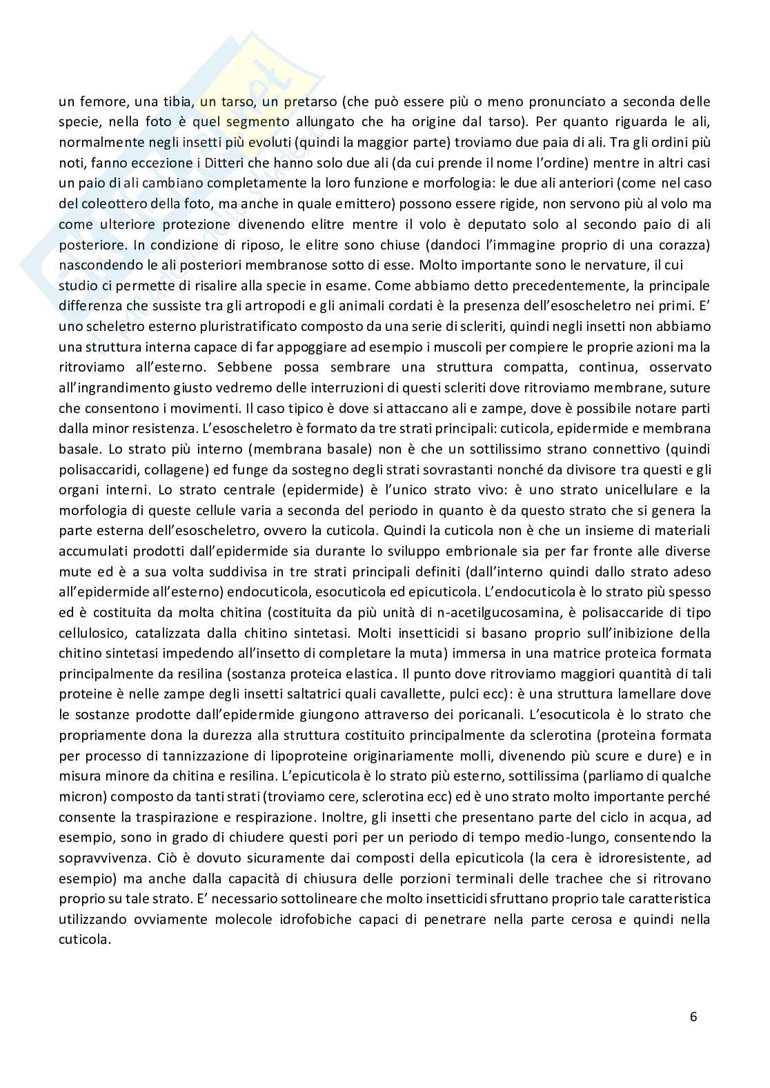 Entomologia completa Pag. 6