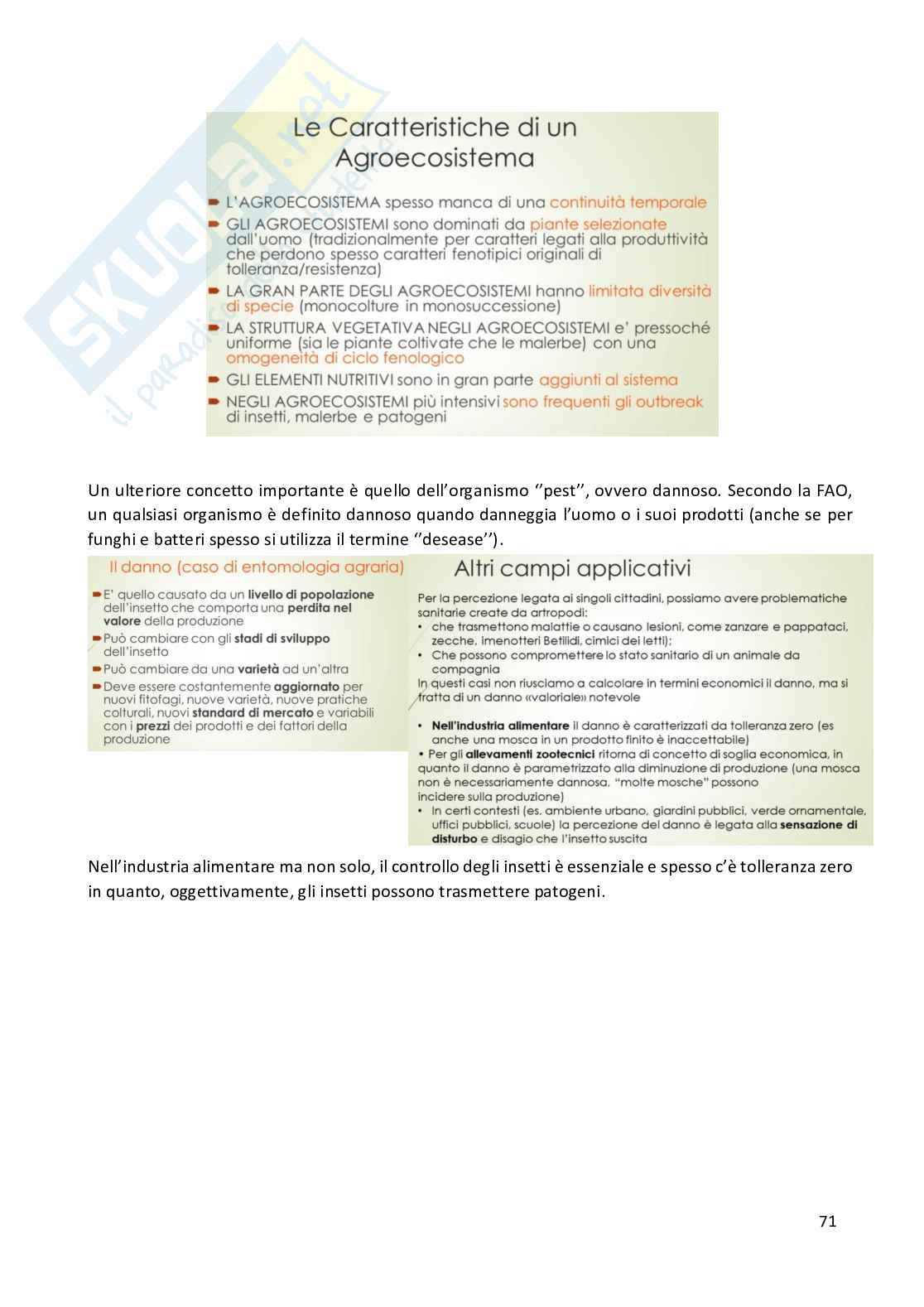 Entomologia completa Pag. 71