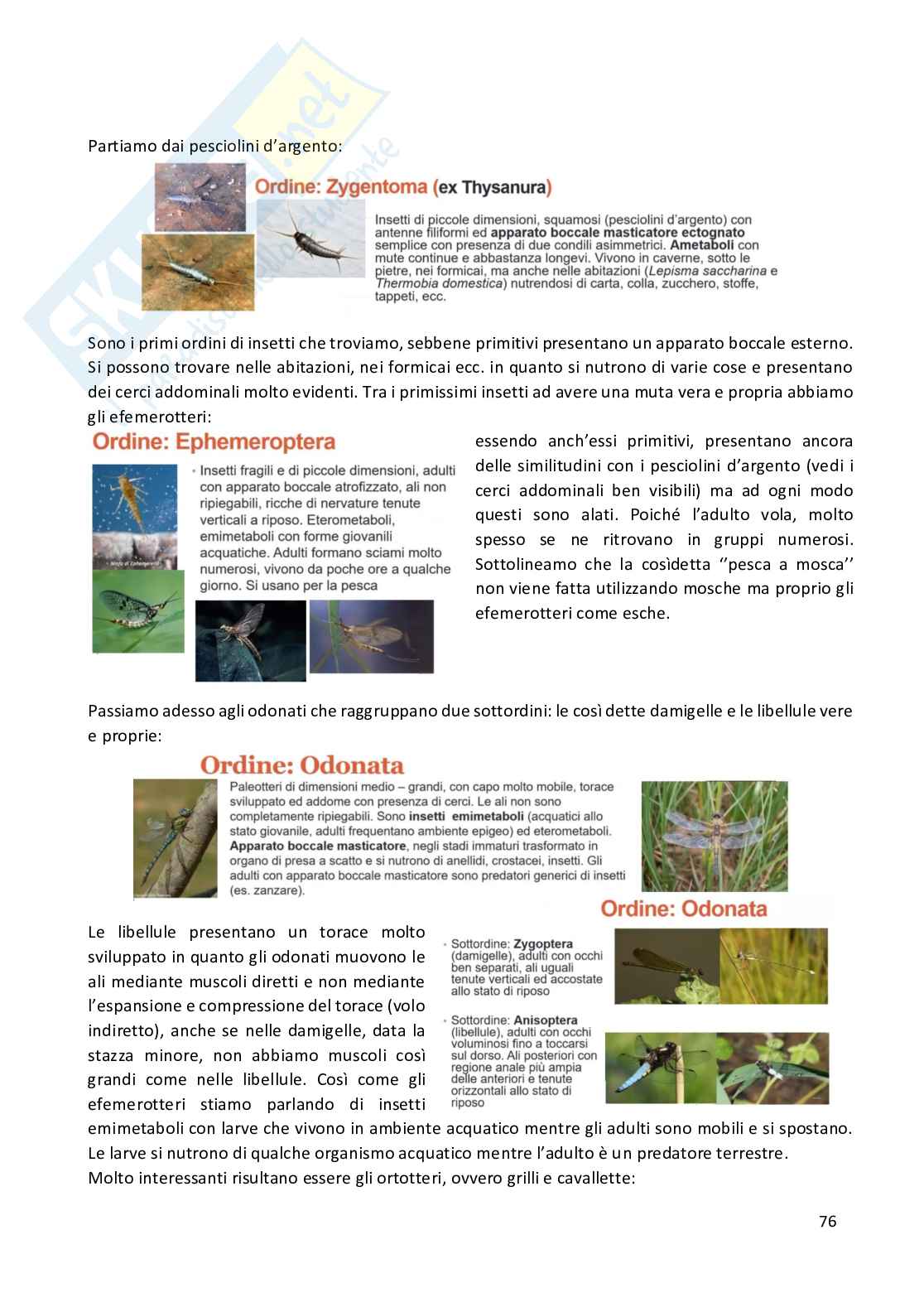 Entomologia completa Pag. 76