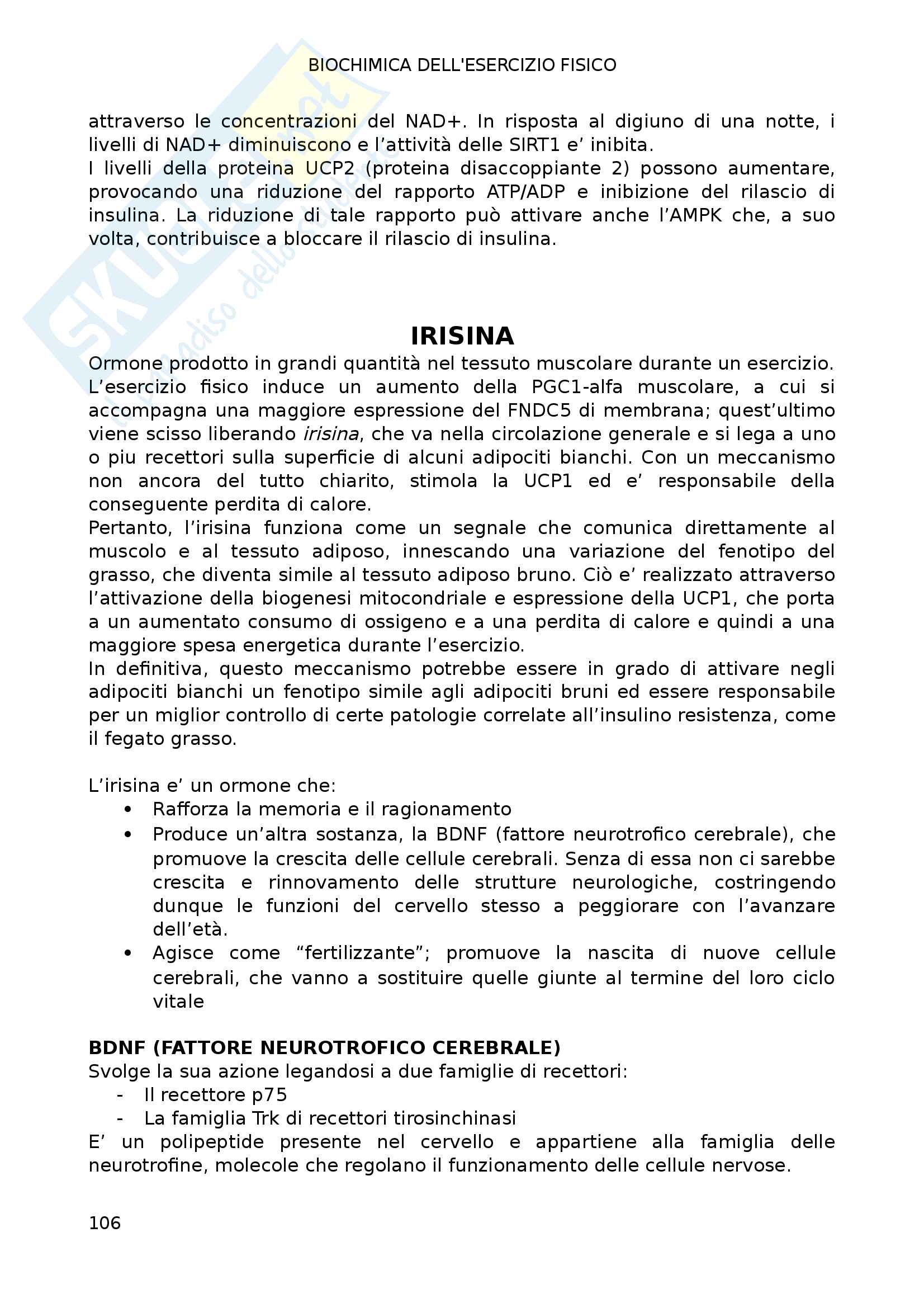 Biochimica dell'esercizio fisico Pag. 106