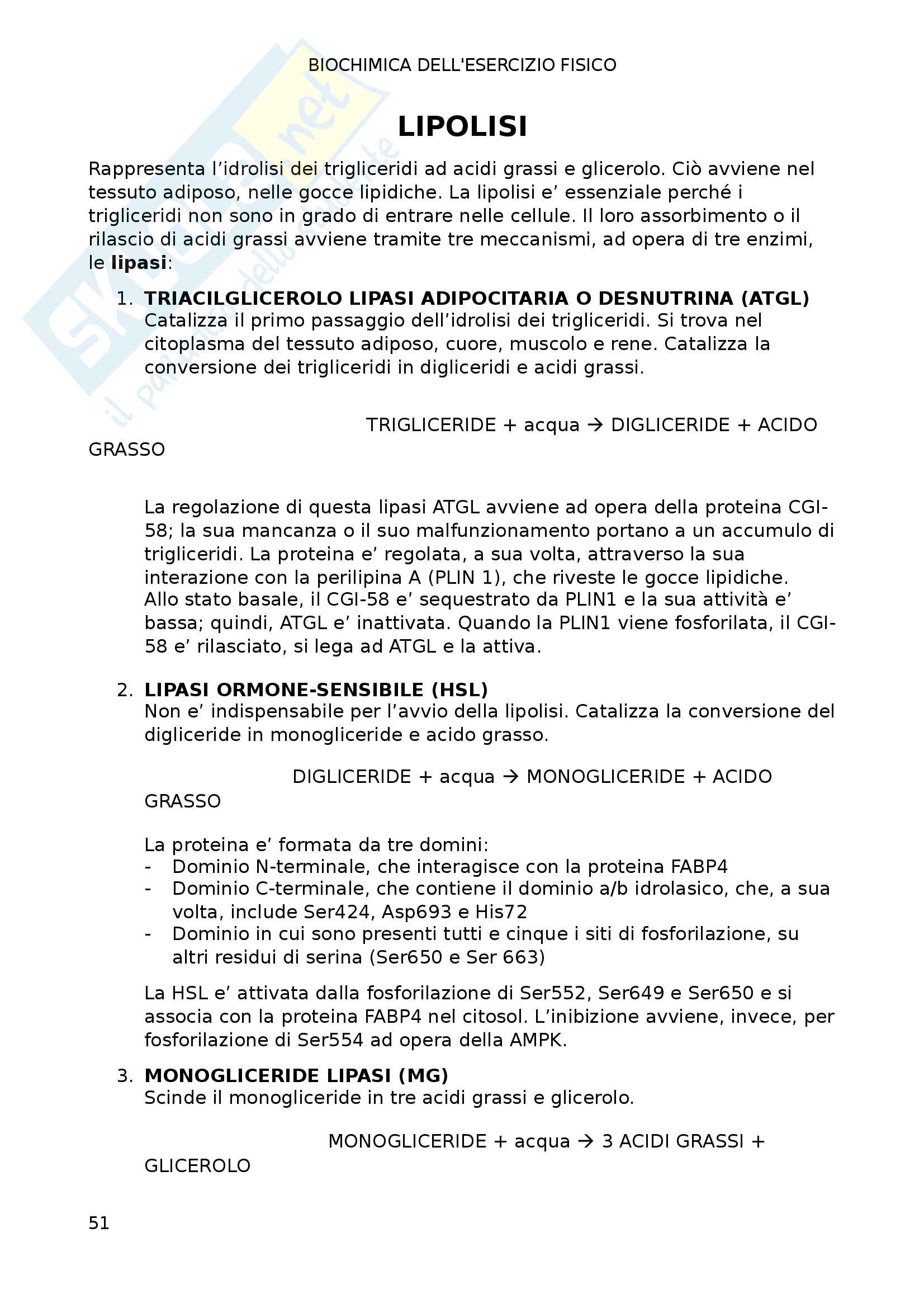 Biochimica dell'esercizio fisico Pag. 51