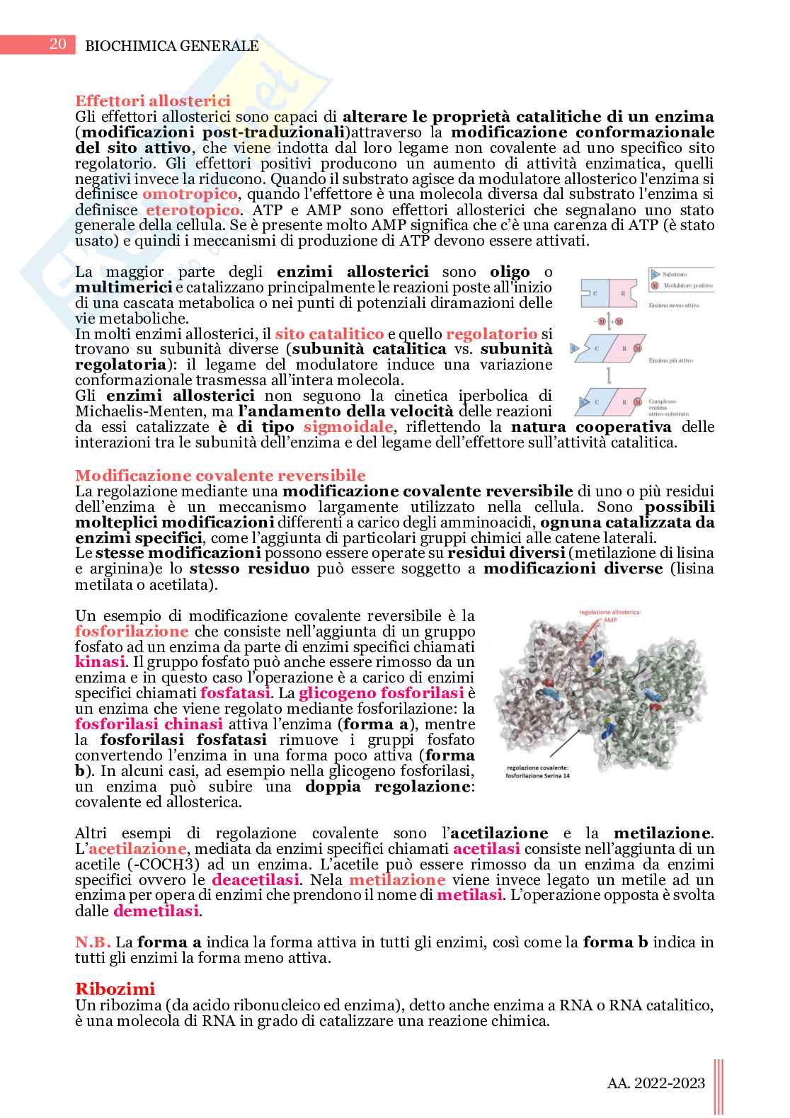 Biochimica generale Pag. 21