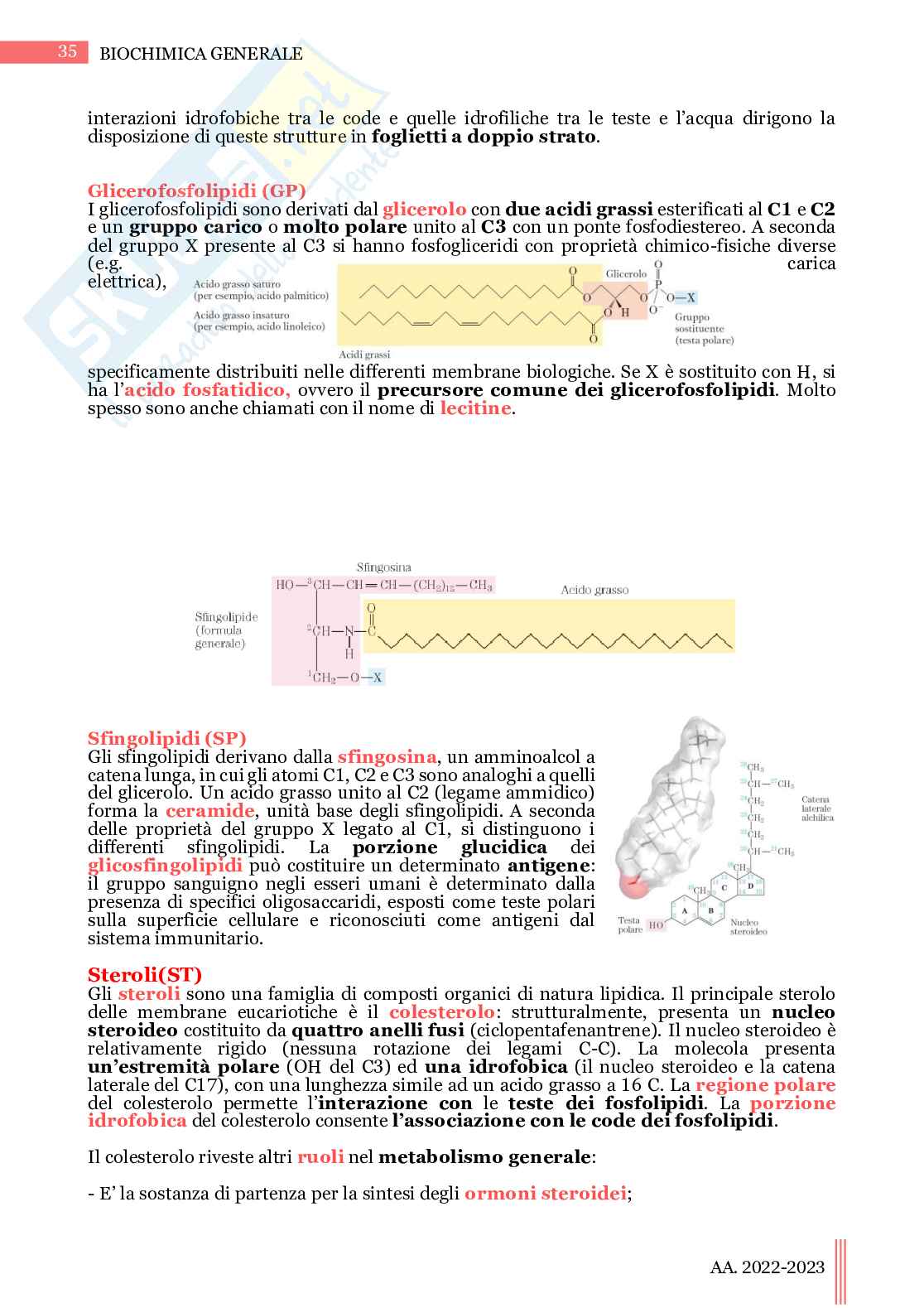 Biochimica generale Pag. 36